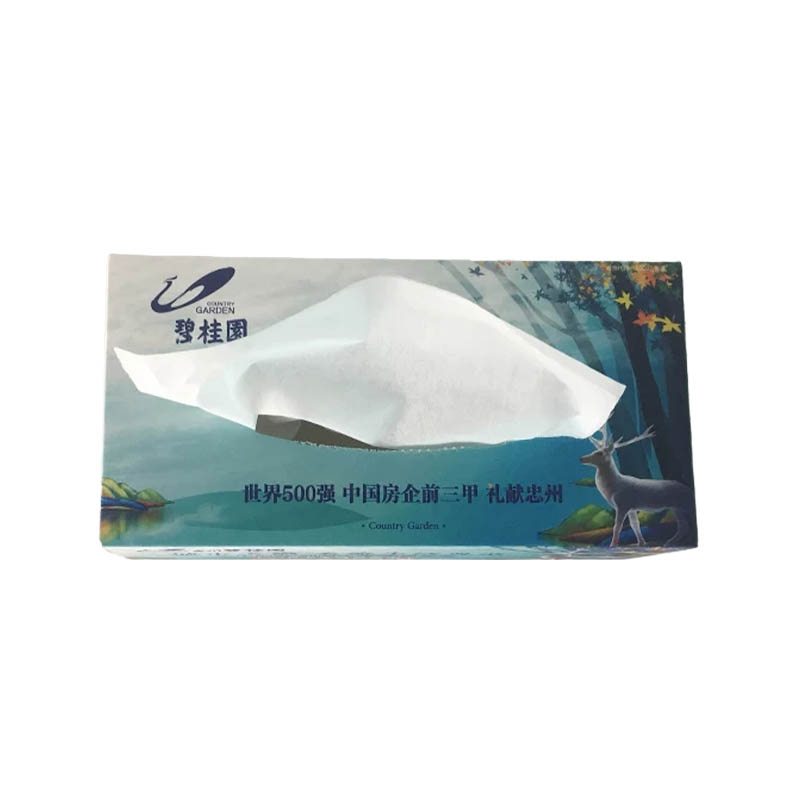 Customized Tissue Boxes